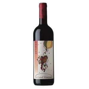 No land vineyard rosso 2020