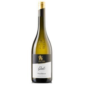 Alto adige pinot bianco vial 2022